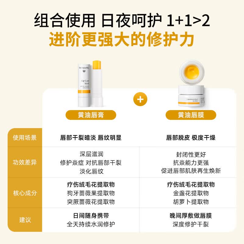 Dr.Hauschka德国世家滋养润唇膏4.9g滋润保湿补水防裂淡纹有机药植温和修护