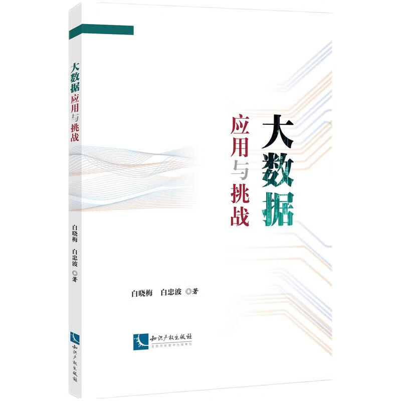 大数据应用与挑战详情图