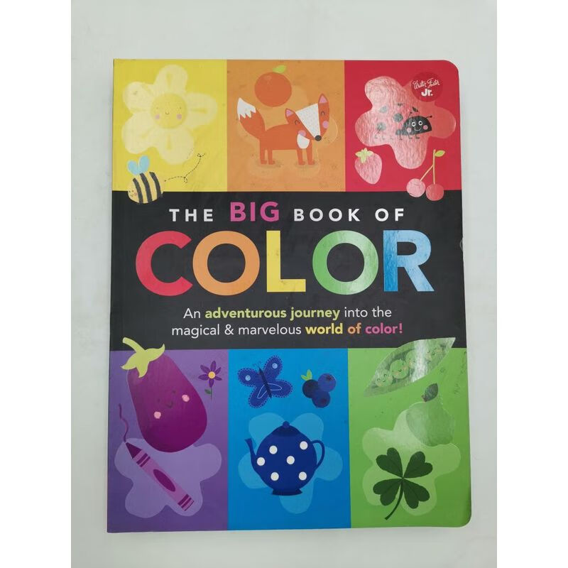 现货 the big book of color: an adventurous journey 色