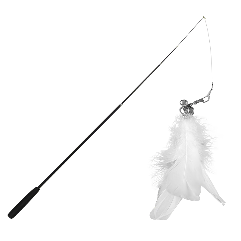 ������ ��è��