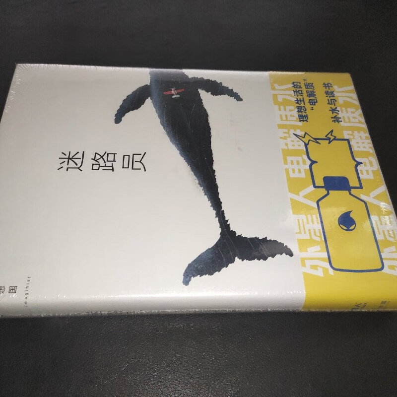 【绝版旧书】迷路员(青年小说家沈大成继《小行星掉在下午》后作品)