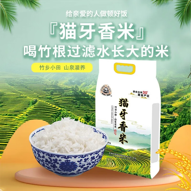 熊猫猫牙王大米5kg10斤品贡香猫牙王大米2023年现磨新米长粒