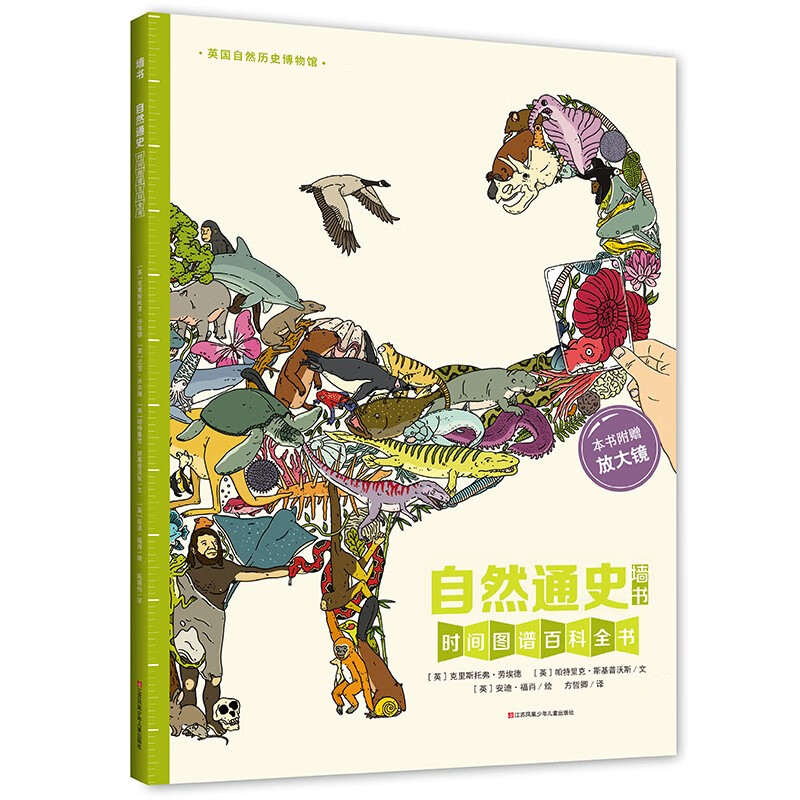 4米长 从太阳,地球的形成 恐龙动物儿童百
