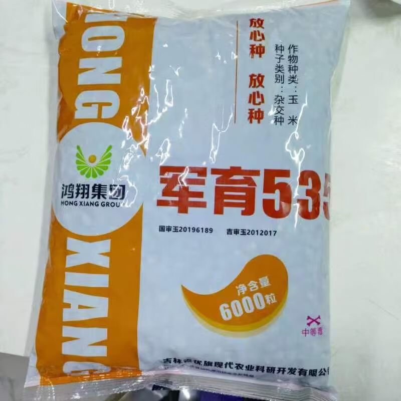 正宗国审品种军育535玉米6000粒精品 6000粒/袋