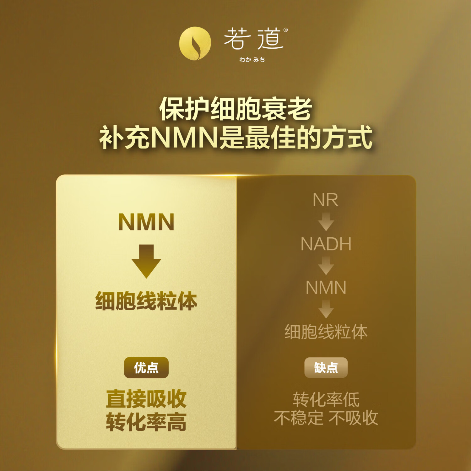 若道NMN28000 添辅酶Q10 PQQ 纳豆激酶 日本进口烟酰胺单核苷酸线粒体 NMN28000若道 80粒*1瓶