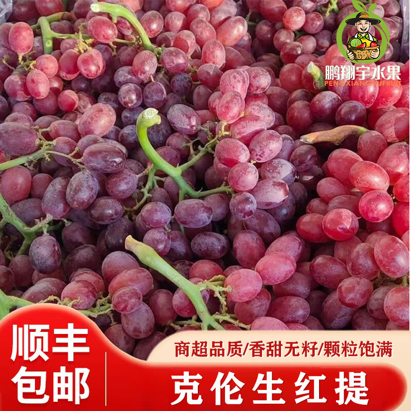 鹏翔宇【顺丰包邮】克伦生无籽红提葡萄脆甜红宝石提子当季新鲜孕妇水果 净重2斤【单人套餐】脆甜无籽