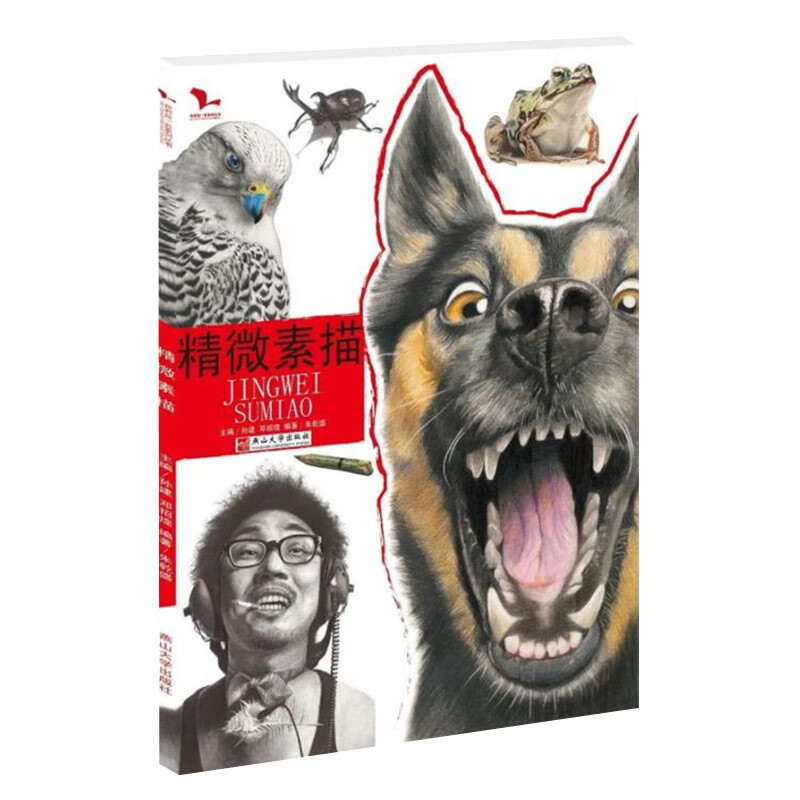 精微素描 我有我一套精微素描体系零基础美术手绘动物昆虫高清素材
