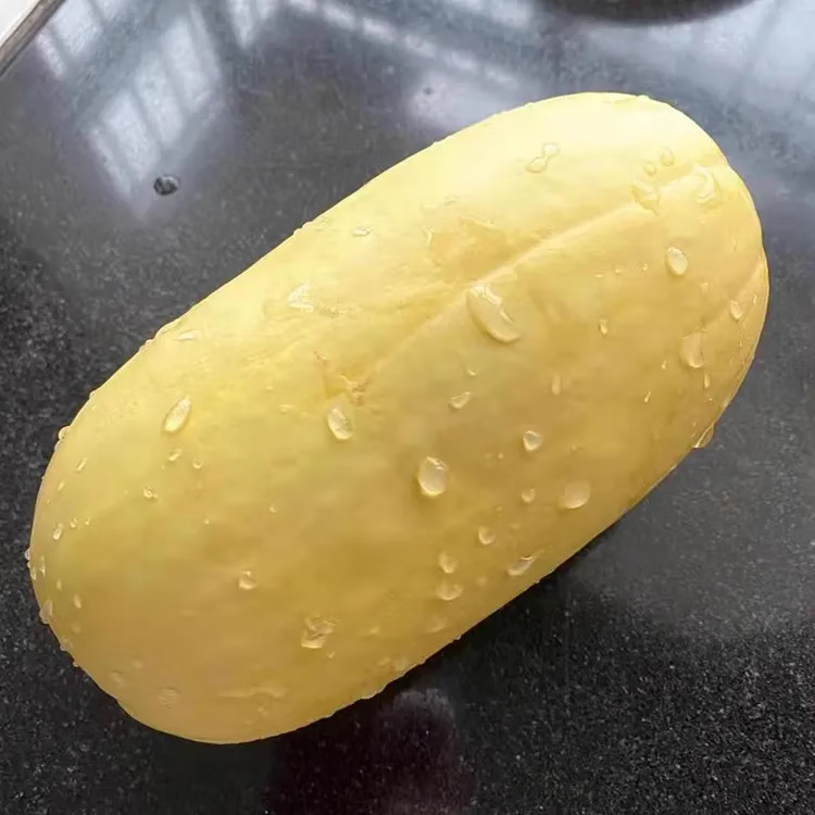 正宗赣州石城杏瓜江西黄皮笋瓜新鲜现摘蔬菜老式杏瓜老山东大白瓜 笋瓜5斤