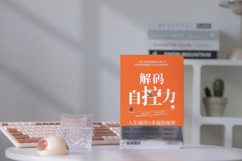 解码自控力：人生成功与幸福的秘密详情图