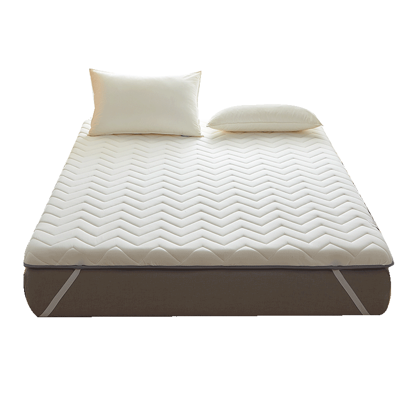 ���ڲ�������ӡ��ƷA�࿹���׷������ڸ������˫�˴���ѧ�����ᵥ�������� �����ư�ɫ��A�࿹���� 90*190cm�����Լ4cm��