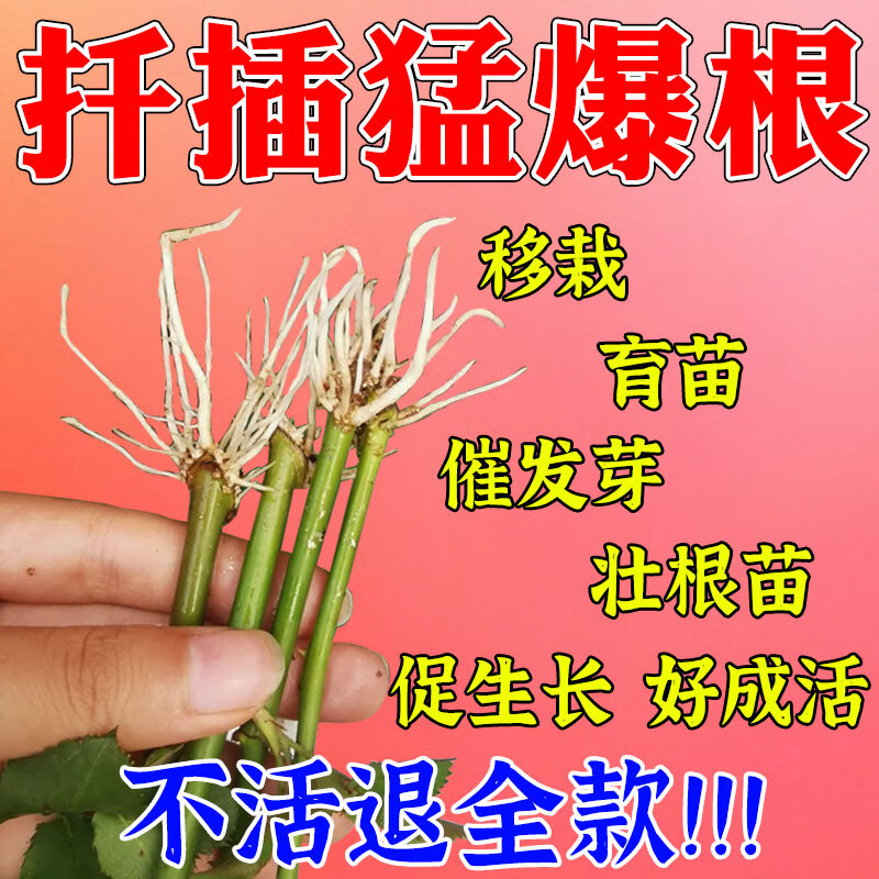 扦插育苗神器植物扦插快速生根剂月季玫瑰绿萝牡丹移栽生根壮苗液 一