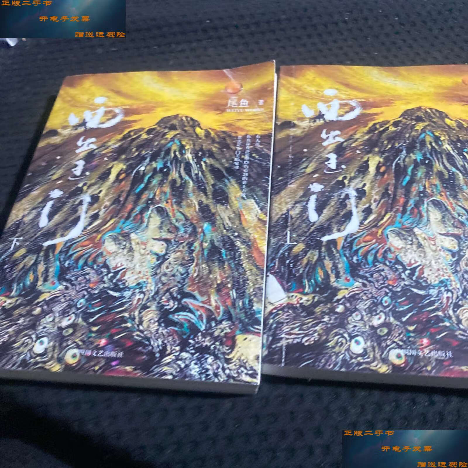 【二手9成新】西出玉门(上下) /尾鱼 四川文艺