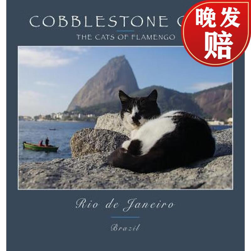 【4周达】cobblestone cats 