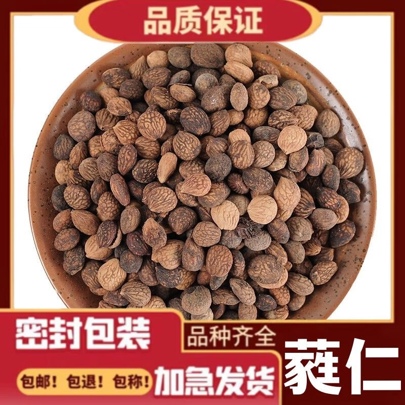 北京同仁堂精选中草药材 芮仁500g 蕤仁 蕤仁肉 别名蕤核 蕤子肉 棫仁