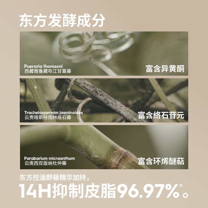 玛丽黛佳野藤柔焦持妆中样 粉饼磨皮大王隐形毛孔定妆遮瑕520礼物 W01黄一白 均匀遮瑕提亮 中样 5g