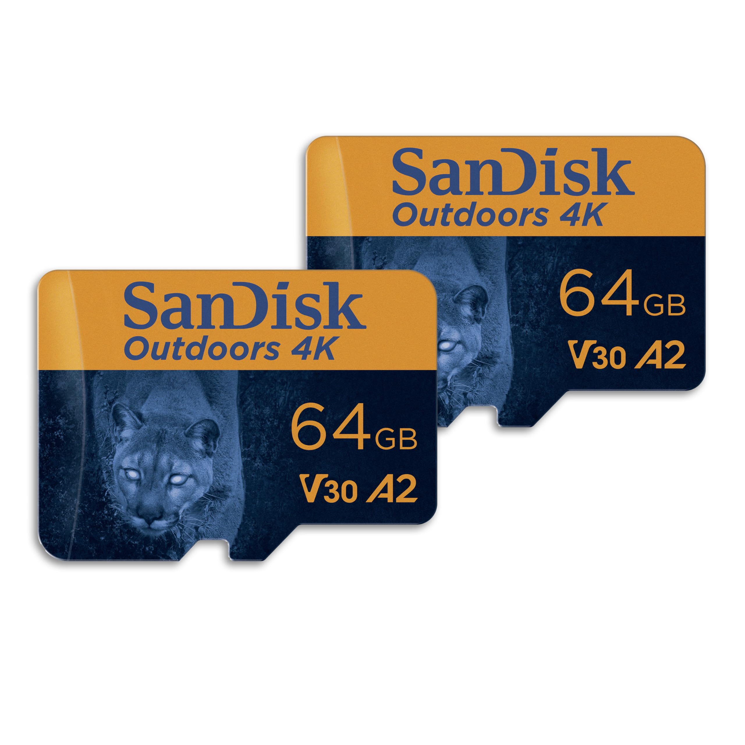 SanDisk 闪迪 64GB 4K microSDXC UHS-I 存储卡 2 件装 - 170MB/s, C10, U3, V30, A2