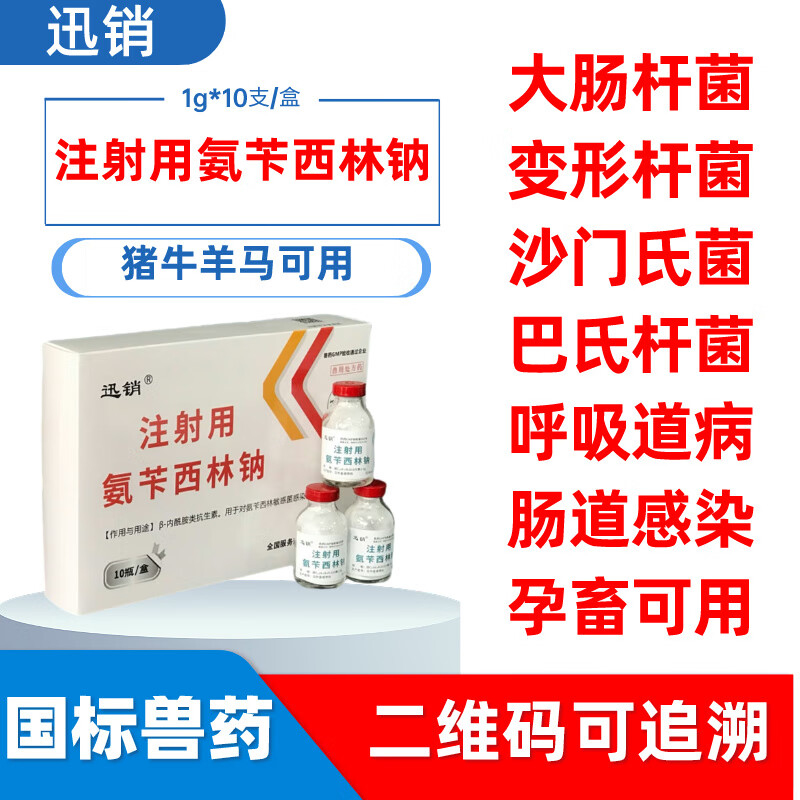 迅销注射用氨苄西林钠猪牛羊感冒腹泻咳嗽呼吸泌尿道宠物兽用消炎针药