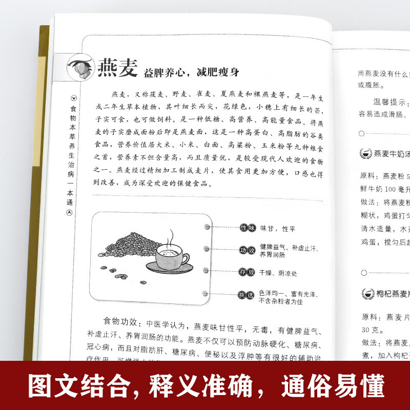 食物本草养生治病一本通书中华养生经典食物疗法药食同源中药条文 默认规格