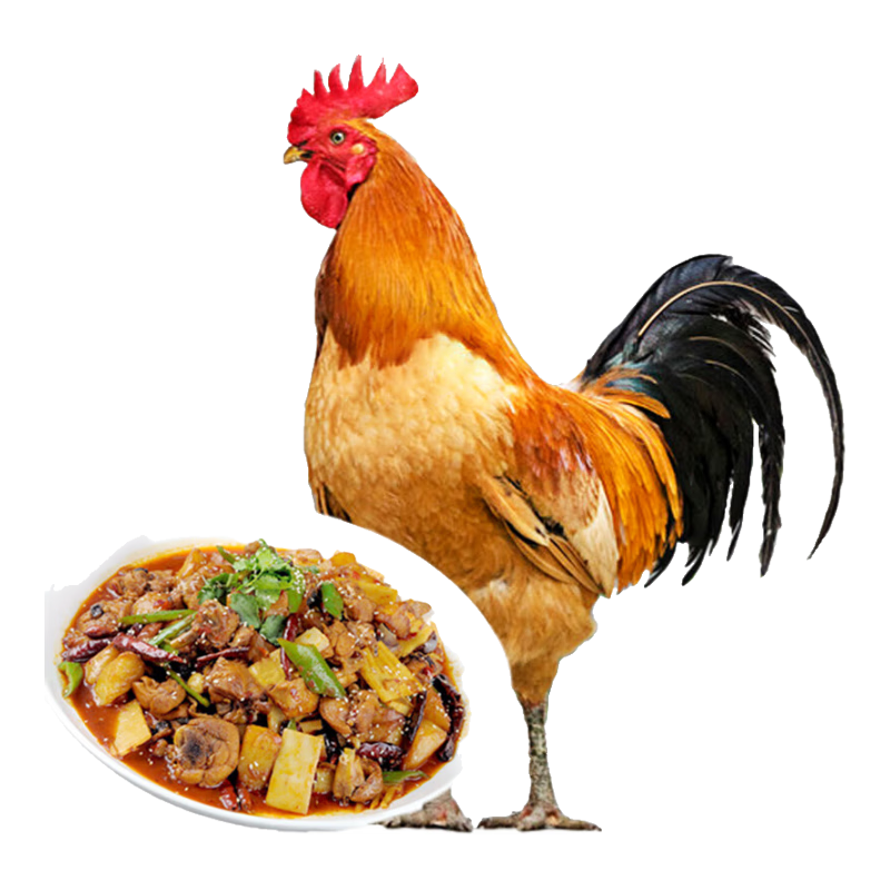 ���ڲ�������С��ɢ���󹫼� ���� 3��  �ߵؼ�����������������Դͷֱ�� 61.1Ԫ