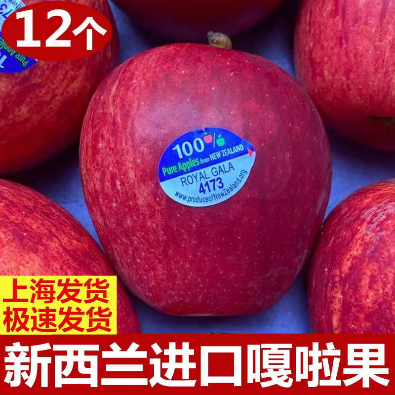新西兰进口嘎啦果苹果水果当季新鲜姬娜苹果加力果加丽果12个装 12个（单果145-160g）