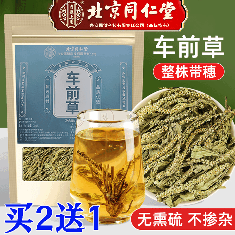 【官方直售】车前草茶包 痛风可搭猫爪草车前草袋泡茶车前草中草药