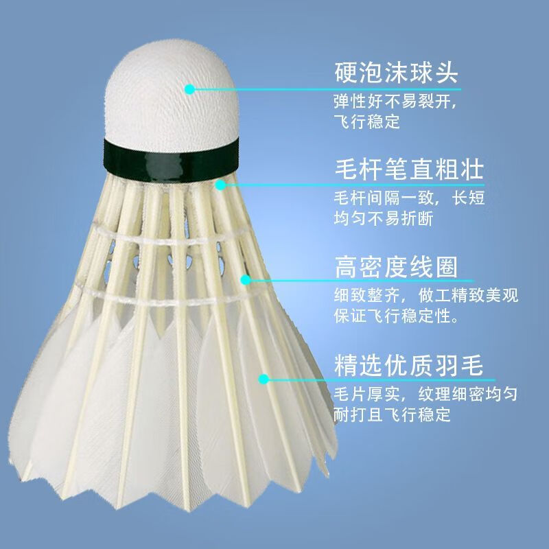 赢鹰66S 羽毛球装备哪里买 中羽在线