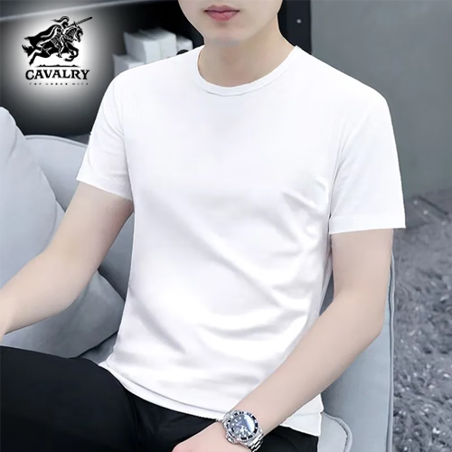 THE URBAN NICE官方品牌纯棉t恤男2025夏秋款短袖上衣商务纯色冰丝纯棉男士短袖 咖啡色-纯色 厚款 【宽松大码款】 5XL 码【建议185-210】-T恤