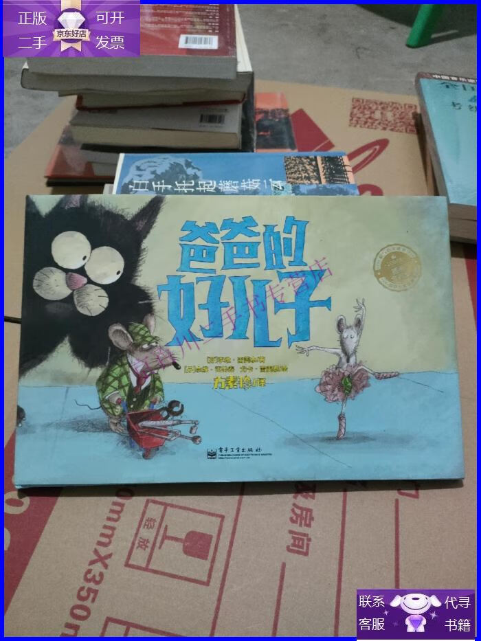 【正版9成新】爸爸的好儿子(全彩)