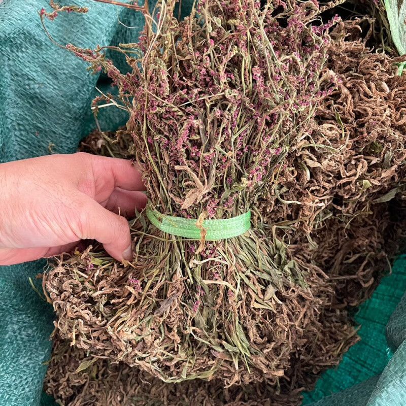 贵州新货盘龙参中草药材龙抱柱镰刀草海珠草龙盘旋鲤鱼草飞龙 250g