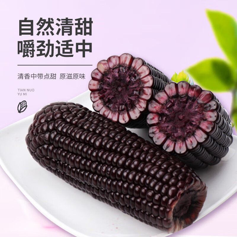 珍谷诱惑25年甜糯玉米 东北黄糯玉米 真空玉米棒杂粮 软糯鲜香 非转基因 小黑糯玉米12支 2.4kg