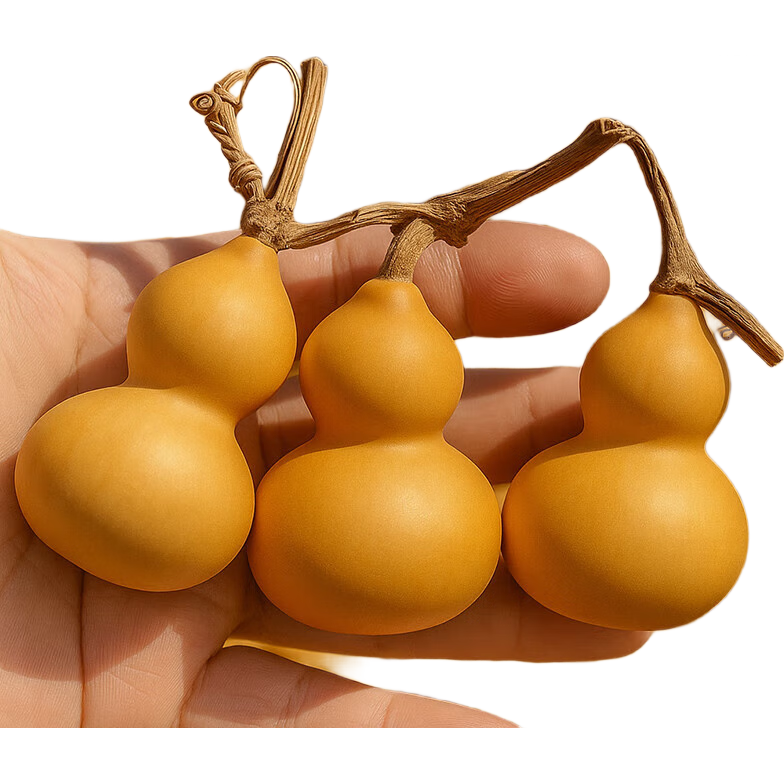 ��Ȼ��«�������ͷ��������С��Ʒ Ұ������Ҿӿ����ڼ� 4-6����ľ���ں�« ��Ʒ�� 0.8Ԫ