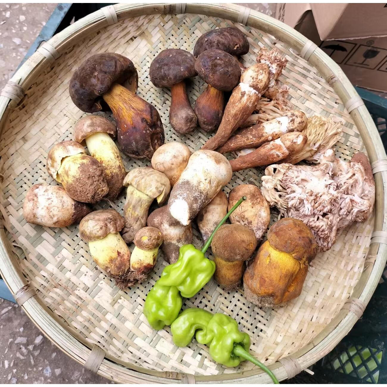 深山里纯菌菇组合2斤装云南特产鸡枞松茸牛肝菌鸡油菌珊瑚菌 纯菌菇