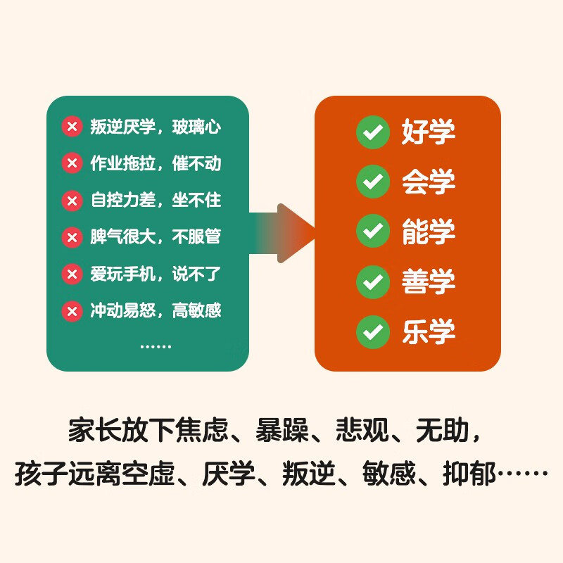 正向养育：家长不焦躁，孩子不厌学（智元微库出品）详情图
