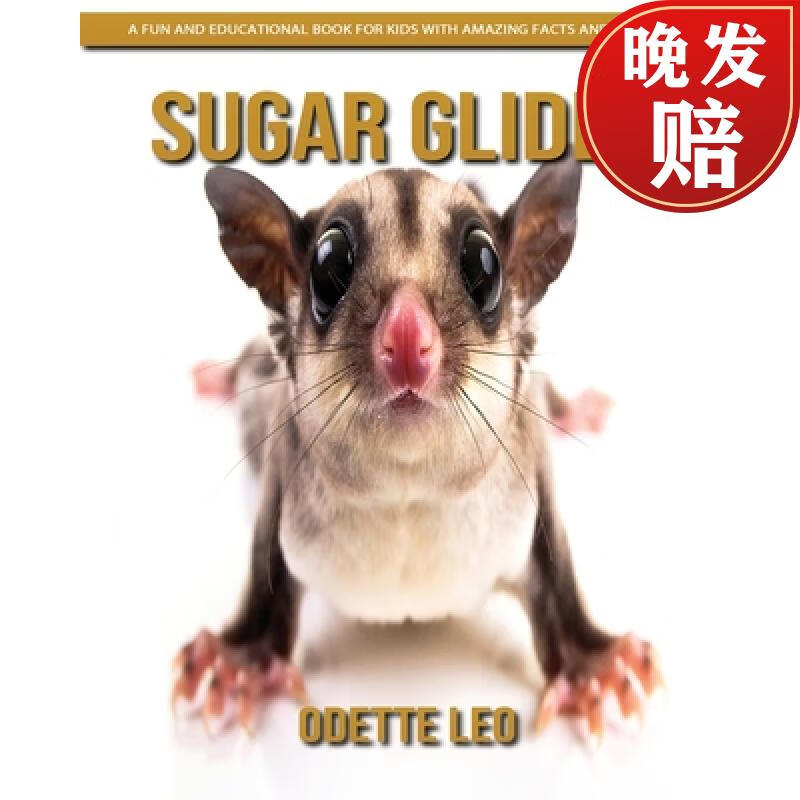 【4周达】sugar glider: a fun and educational book for kids with