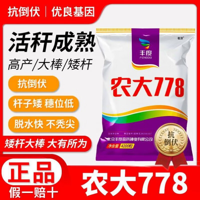 禾之润农大778国审玉米种子大全抗病抗倒抗旱矮杆大棒丰产苞米种籽