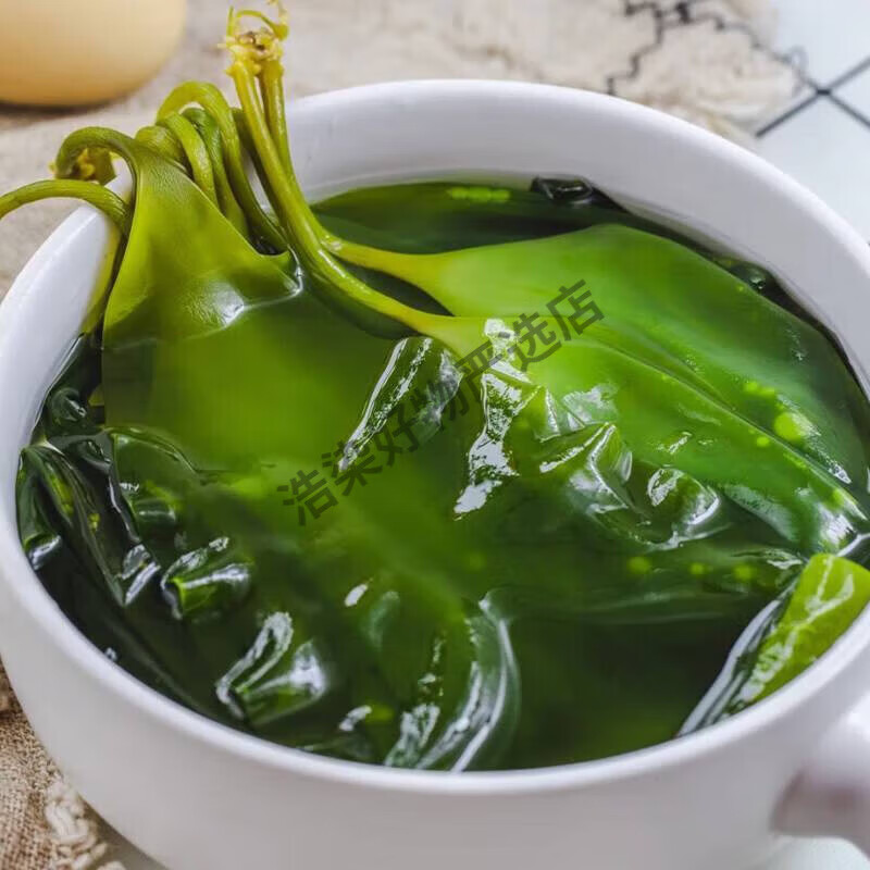 雷禾泽海带苗嫩新鲜霞浦特产盐渍水产小海带芽苗裙带菜 500g