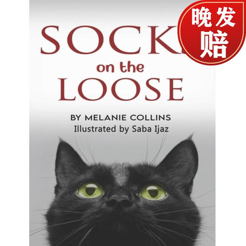 【4周达】socks on the loose