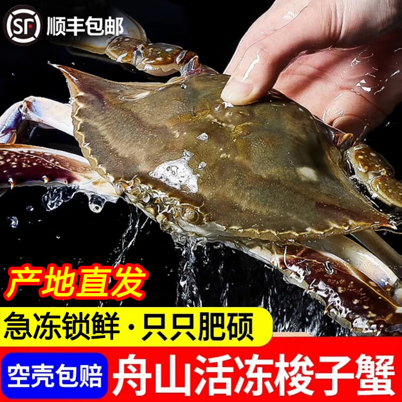 舟山梭子蟹特大活冻野生新鲜大螃蟹大闸蟹生鲜水产飞蟹大肉蟹 3-5两/只[约10只 ]尝鲜 净重3斤