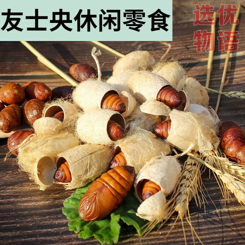 云舵东北特产蚕蛹新鲜蝉蛹带壳大茧蛹活的野体大黄柞【顺丰】 4-5cm黄