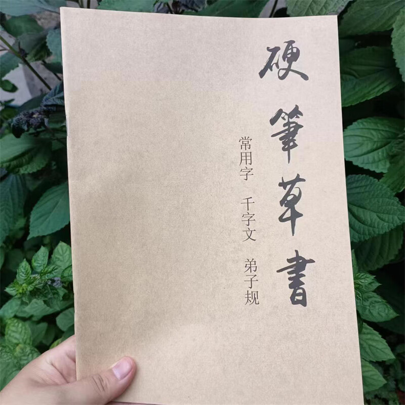 硬笔草书常用字千字文弟子规草书练习临摹字帖39页