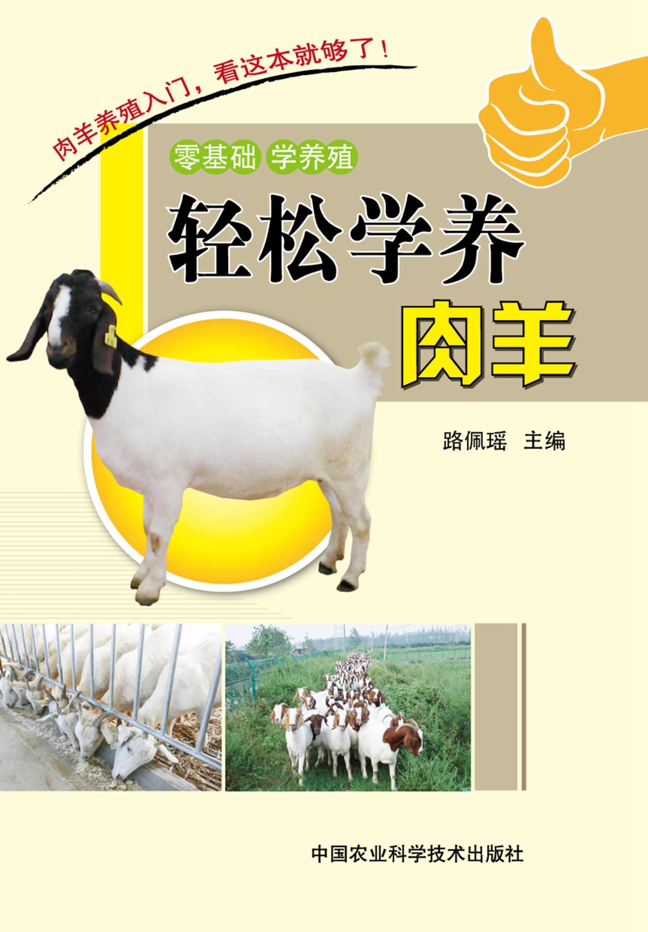 轻松学养肉羊路佩瑶中国农业科学技术出版社9787511616562 农业/林业