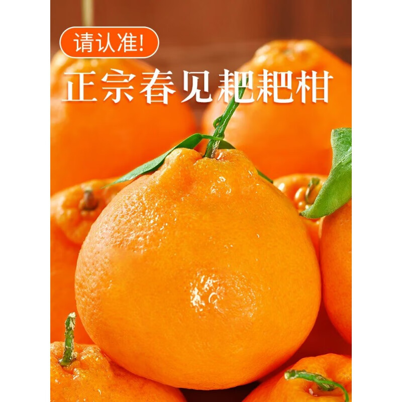 【精选】四川春见耙耙柑时令新鲜水果当季整箱丑柑橘子2/3/5/8斤 5斤60-65mm