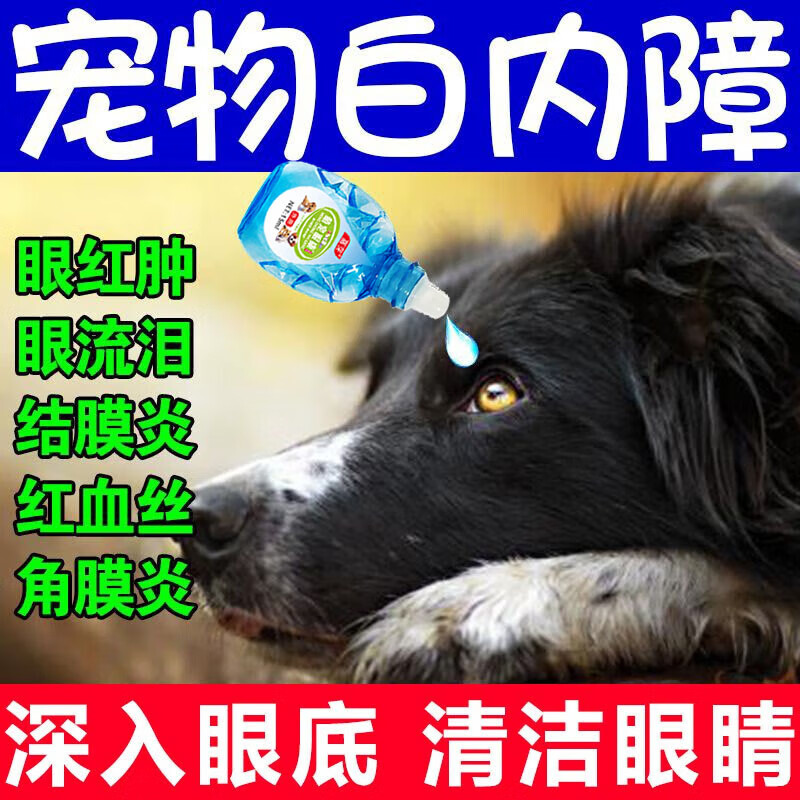 【狗狗白内障】宠物滴眼液消炎抑菌眼睛浑浊无神结膜炎流泪分泌物