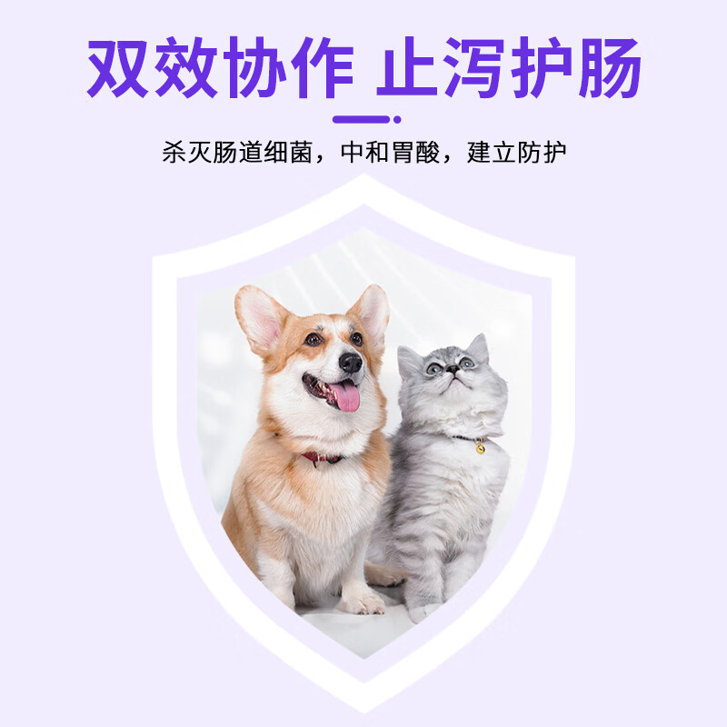 狗狗猫咪用宠物拉肚子腹泻止泻消炎胃肠炎药犬猫拉稀呕吐药便血药 拉稀呕吐套餐（硫酸新霉素片+西咪替丁片）