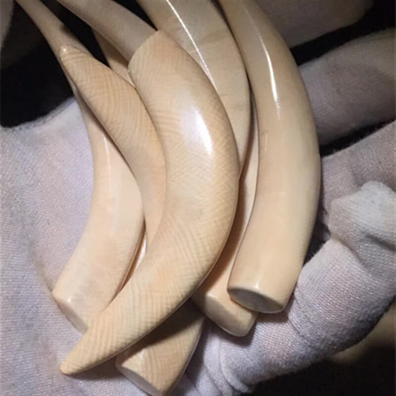 cheng de xuan猛犸象牙牙尖吊坠女项链原料磨制小坠子男士配饰项坠