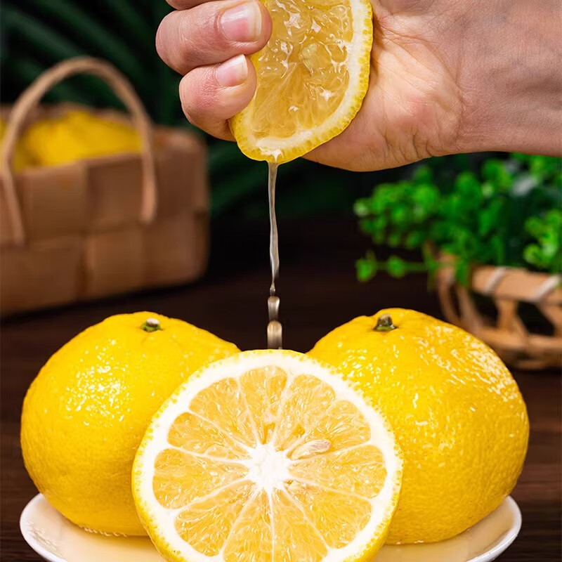 杨家姑娘 湖南怀化黄金贡柚 纯甜新鲜水果春香柚象山青黄金柑时令柚子礼盒 4.5斤 尝鲜小果60-70mm【顺丰/JD】