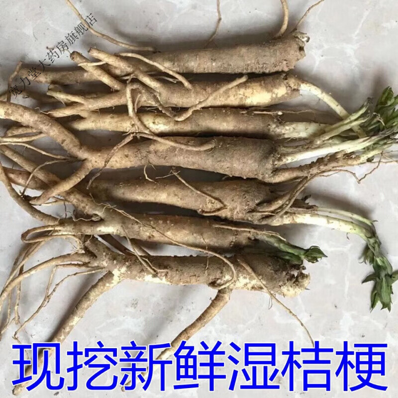 桔梗仿野生狗宝泡菜咸菜生湿鲜货桔梗菜下饭菜原料 1斤装鲜桔梗