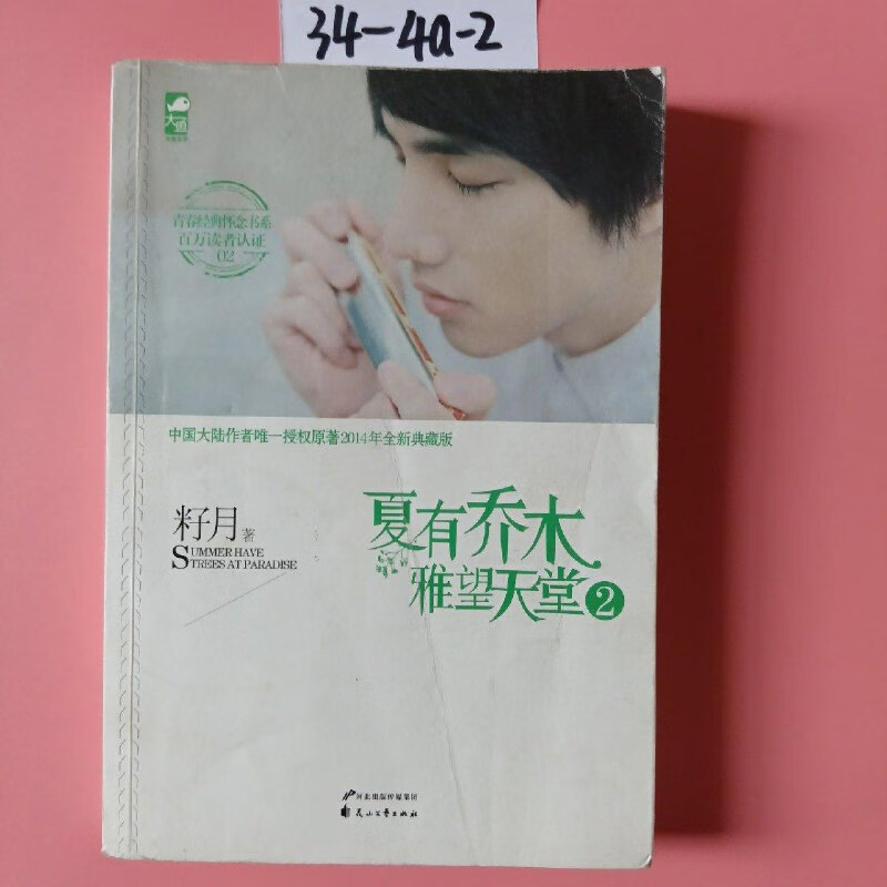 【绝版旧书】夏有乔木:雅望天堂2 花山文艺出版社