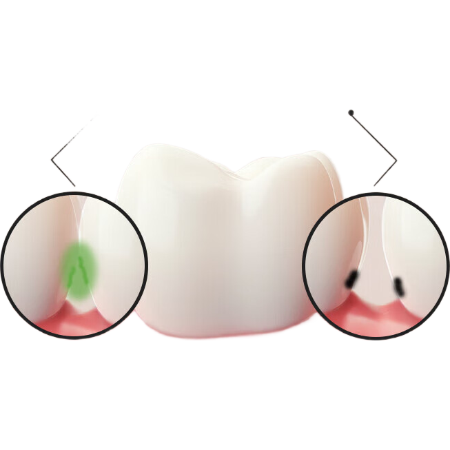 【京东物流】品亚盒装高弹力牙线棒超细清洁口腔便携盒装牙签牙缝 1盒