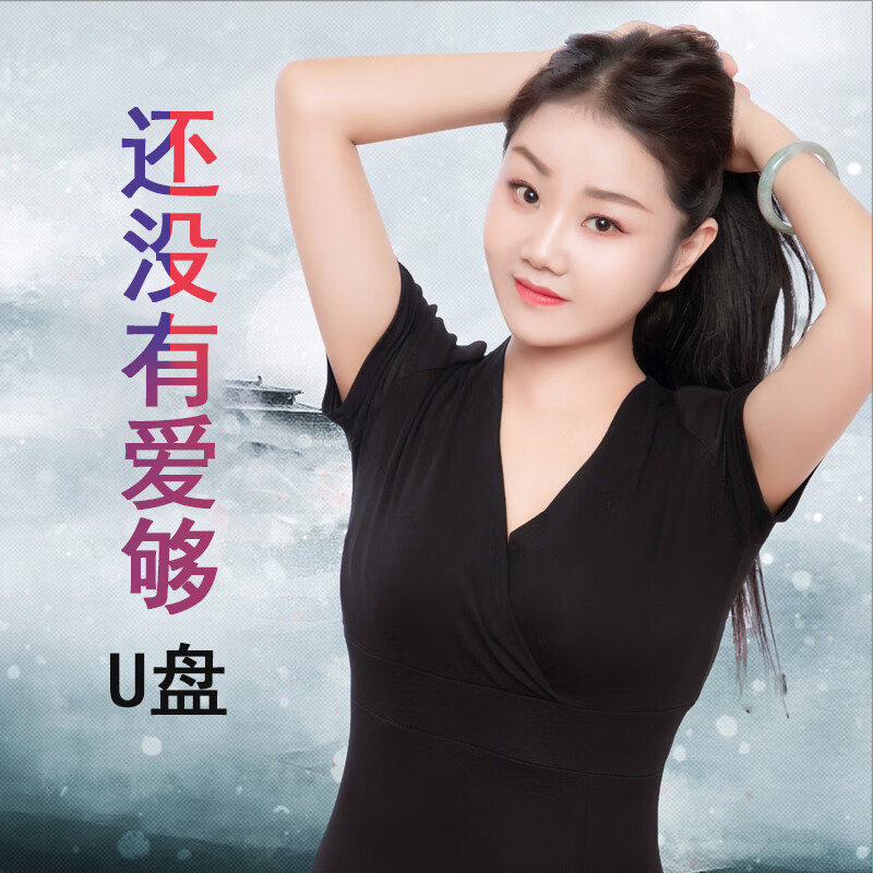 充精灵还没有爱够伤感歌曲王馨个人专辑16gu盘汽车用车载音乐歌曲u盘